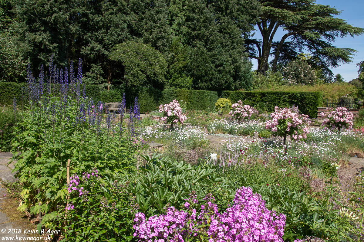 7D2_9771.jpg 7D2_9771.jpg