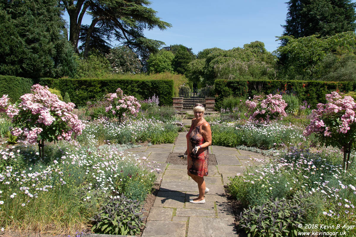 7D2_9772.jpg 7D2_9772.jpg