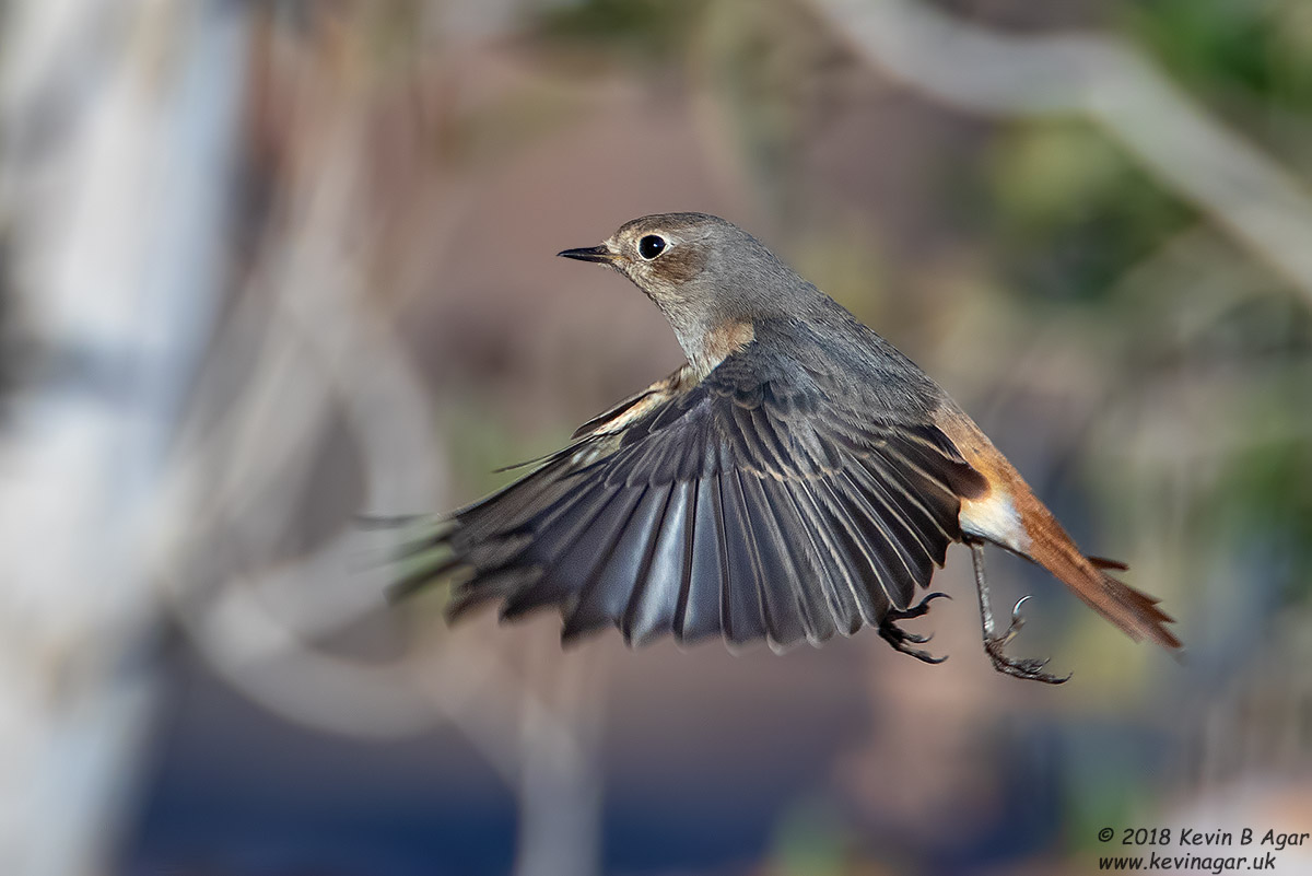 7D2_4027.jpg 7D2_4027.jpg