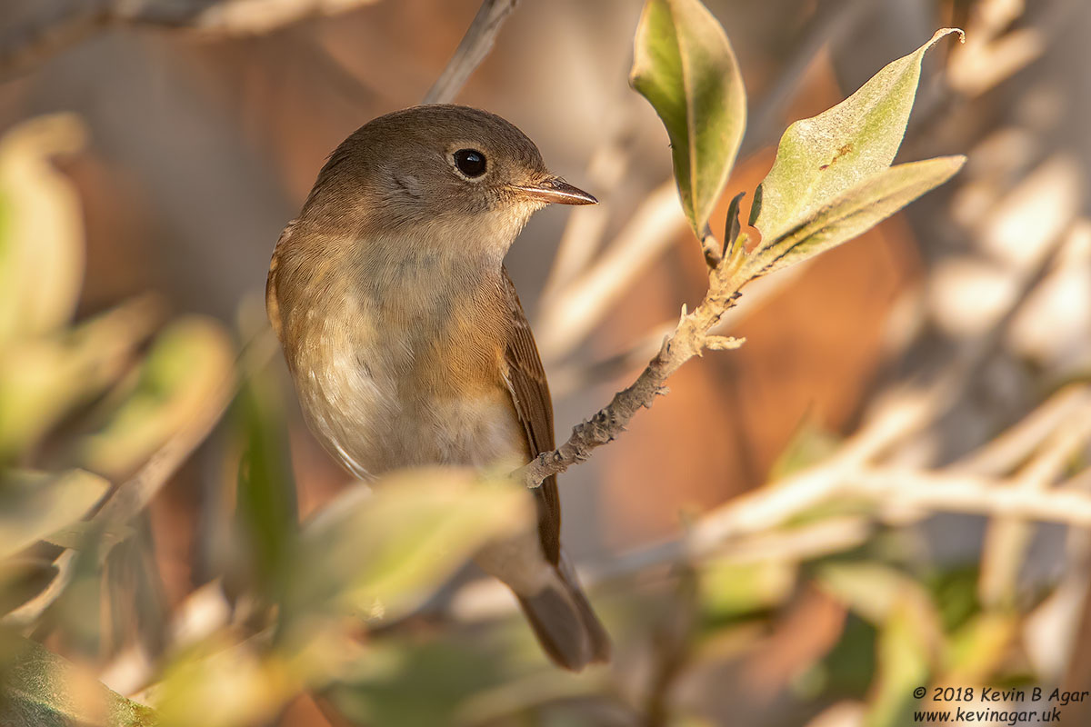 7D2_4050.jpg 7D2_4050.jpg