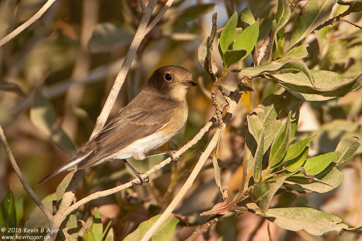 7D2_4052.jpg 7D2_4052.jpg