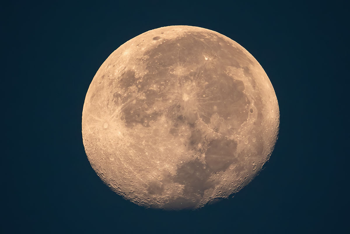 7D2_5031.jpg 7D2_5031.jpg