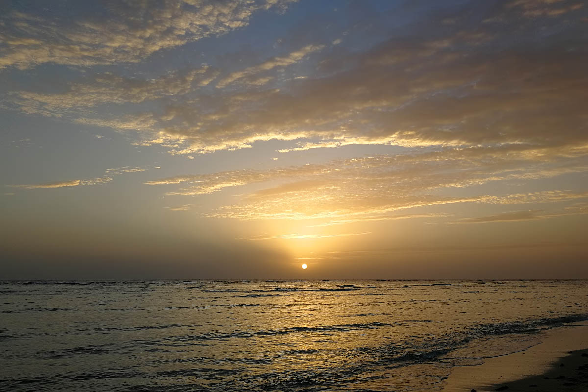 IMG_20181026_055427a.jpg IMG_20181026_055427a.jpg