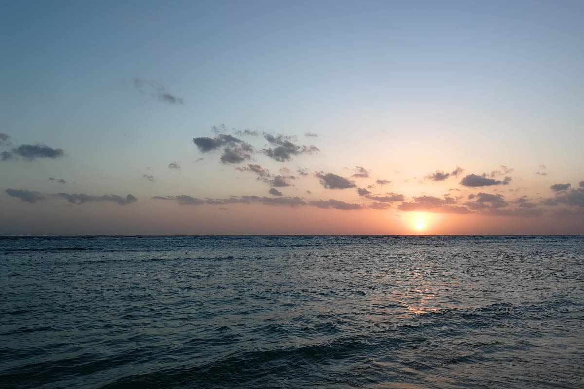 IMG_20181027_055220a.jpg IMG_20181027_055220a.jpg