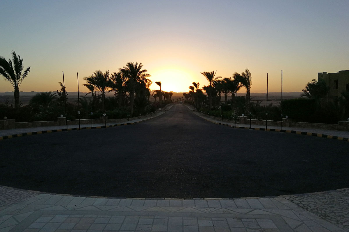 IMG_20181028_165529a.jpg IMG_20181028_165529a.jpg