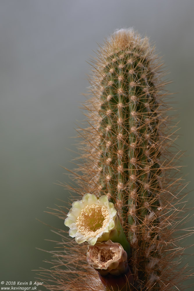 7D2_5262.jpg