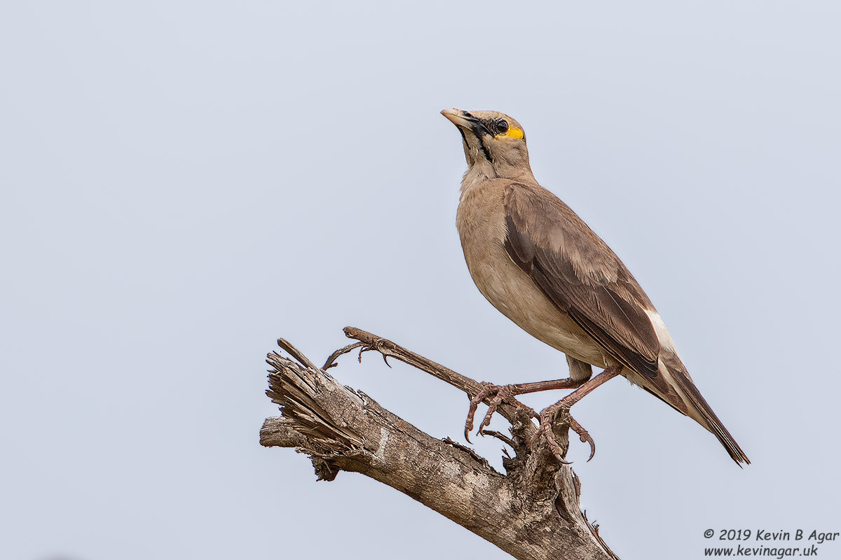 7D2_5783.jpg 7D2_5783.jpg