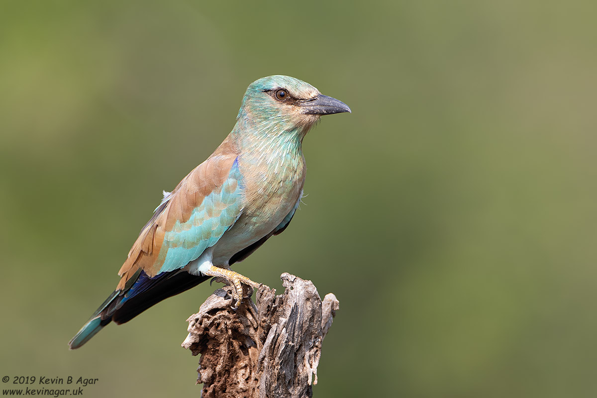 7D2_5859.jpg 7D2_5859.jpg