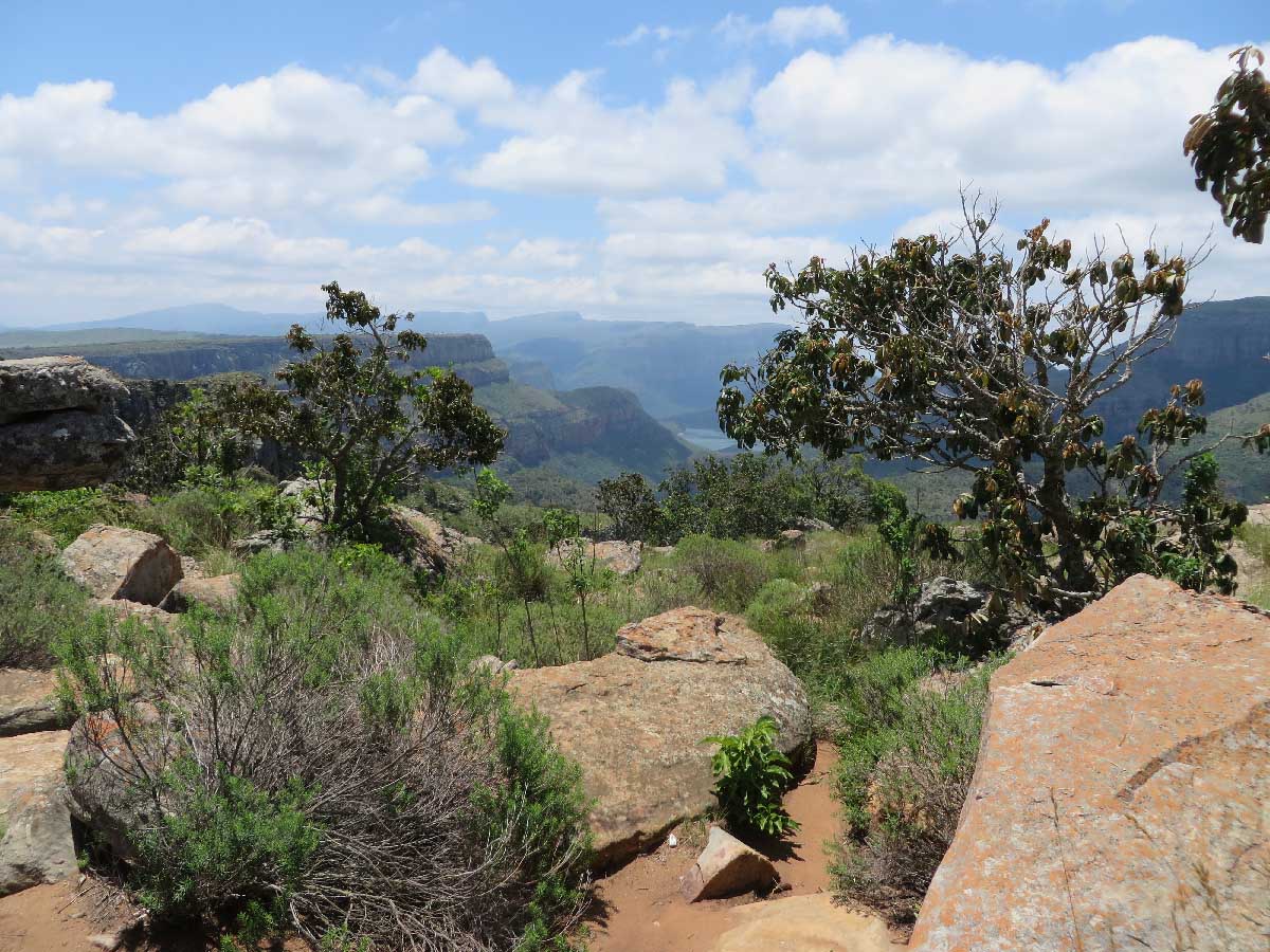 IMG_0777.jpg IMG_0777.jpg