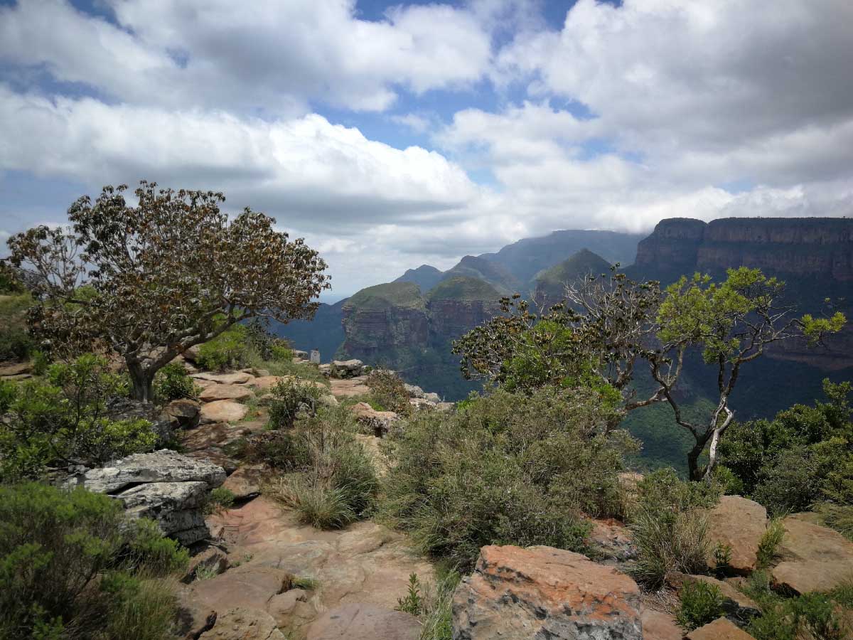 IMG_20190118_120753.jpg IMG_20190118_120753.jpg