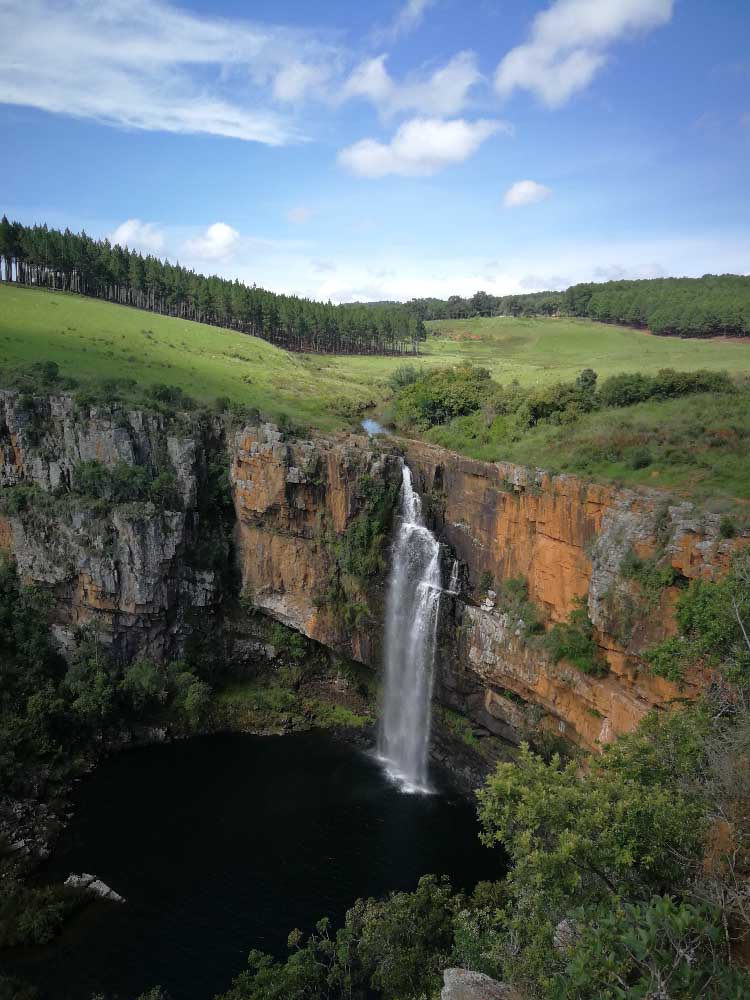 IMG_20190118_145321.jpg IMG_20190118_145321.jpg