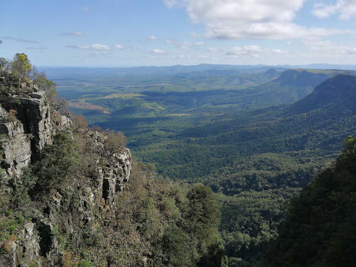 IMG_20190118_154057.jpg IMG_20190118_154057.jpg