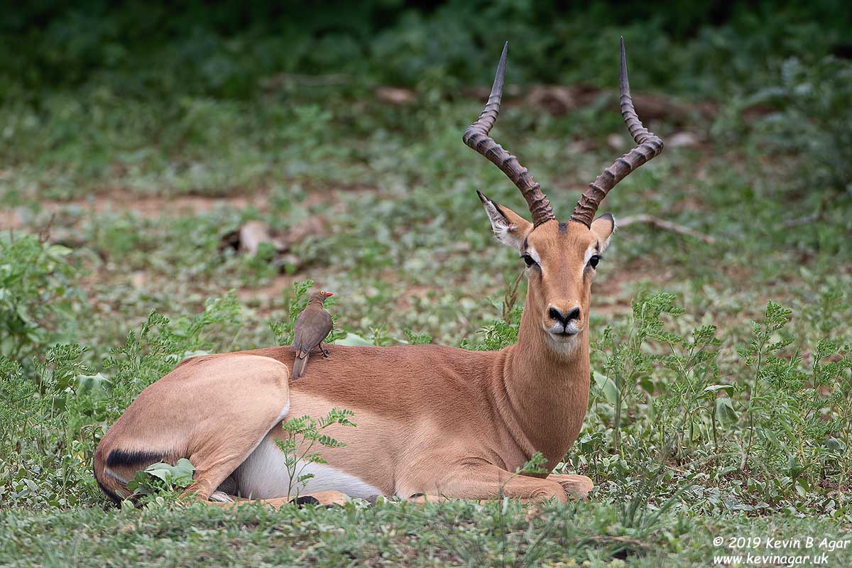 7D2_5823.jpg 7D2_5823.jpg