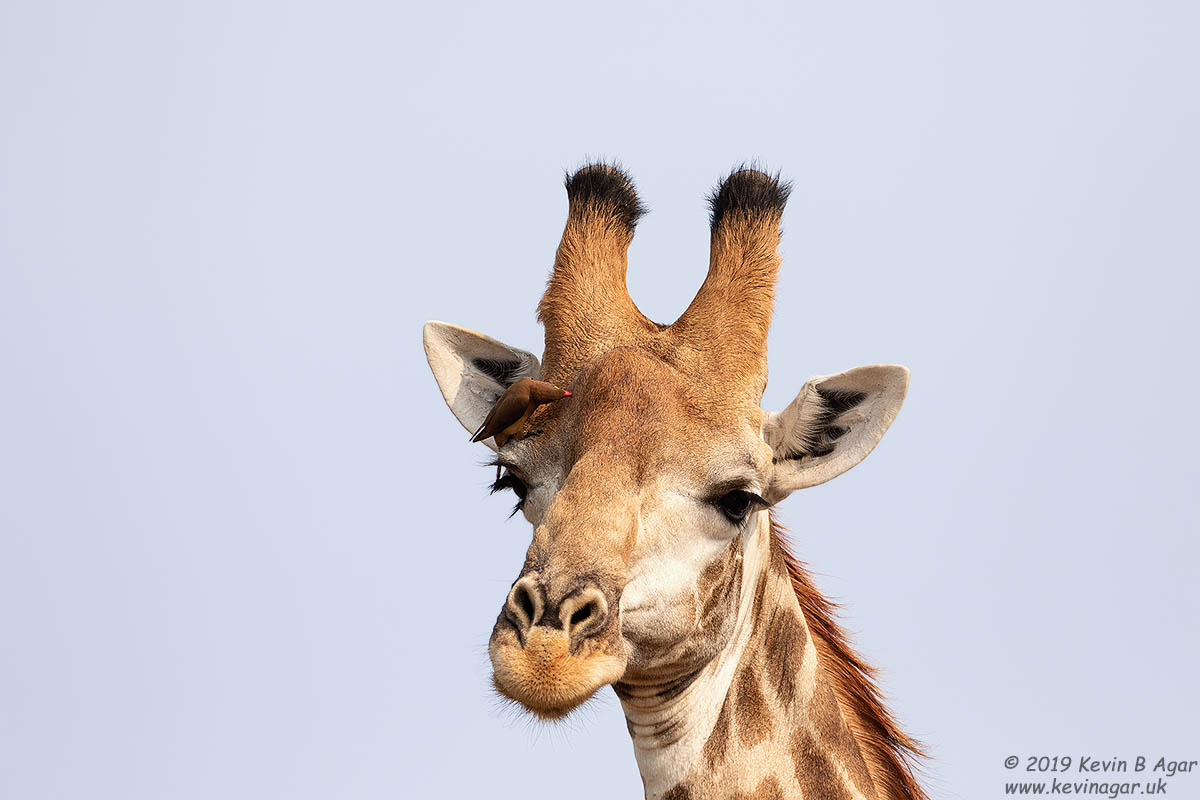 7D2_5840.jpg 7D2_5840.jpg