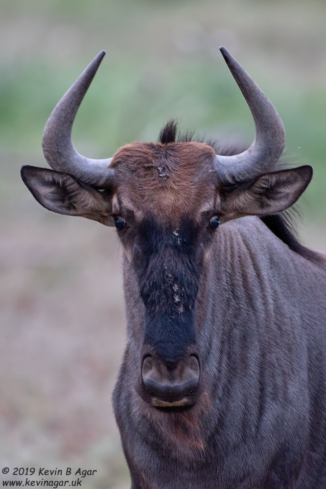 7D2_5888.jpg 7D2_5888.jpg