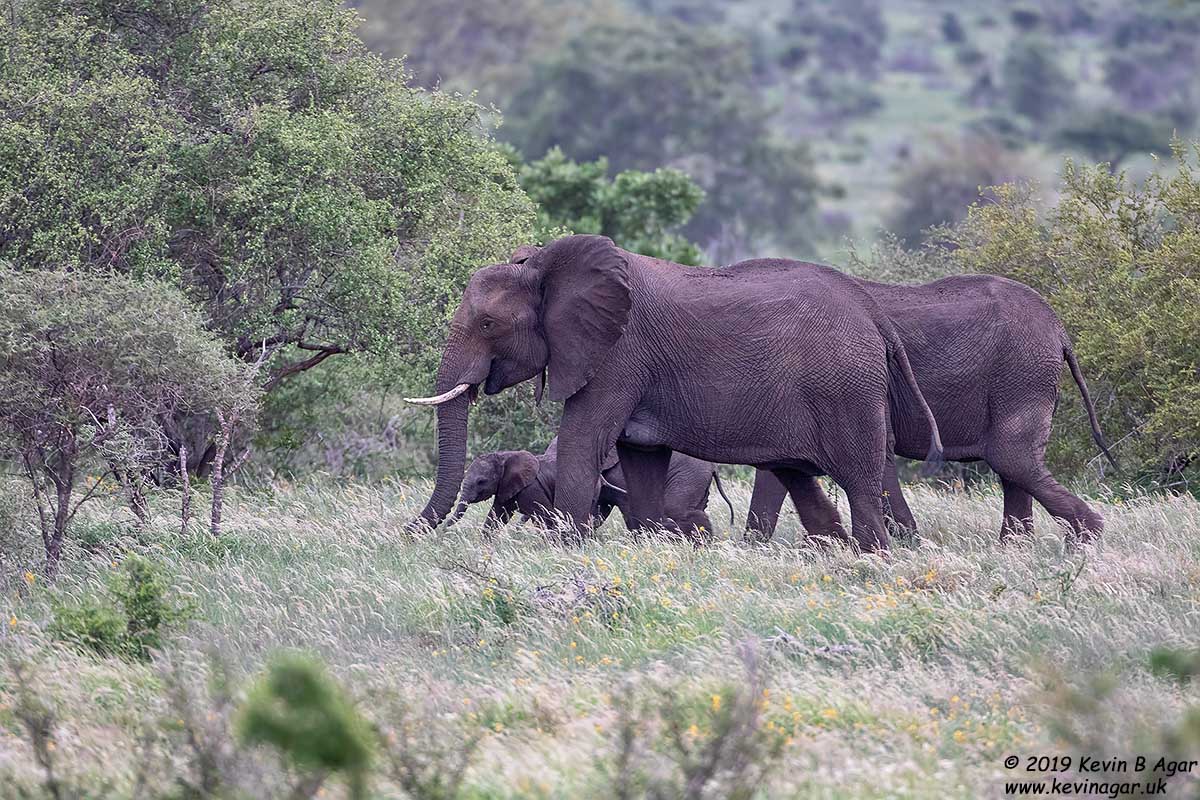 7D2_5910.jpg 7D2_5910.jpg