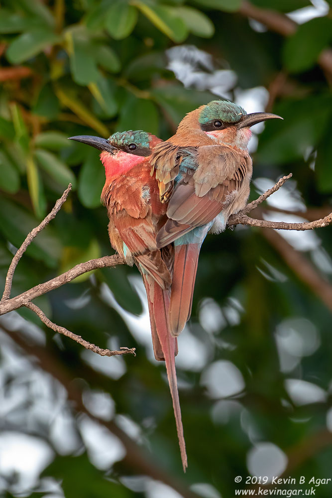 7D2_5939.jpg 7D2_5939.jpg