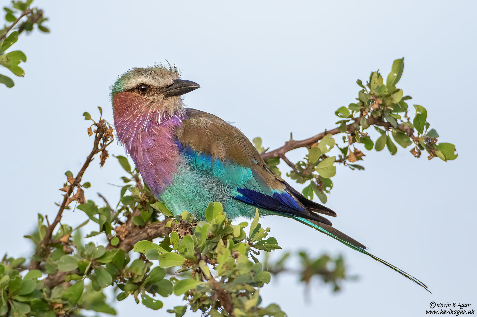 7D2_5963.jpg 7D2_5963.jpg