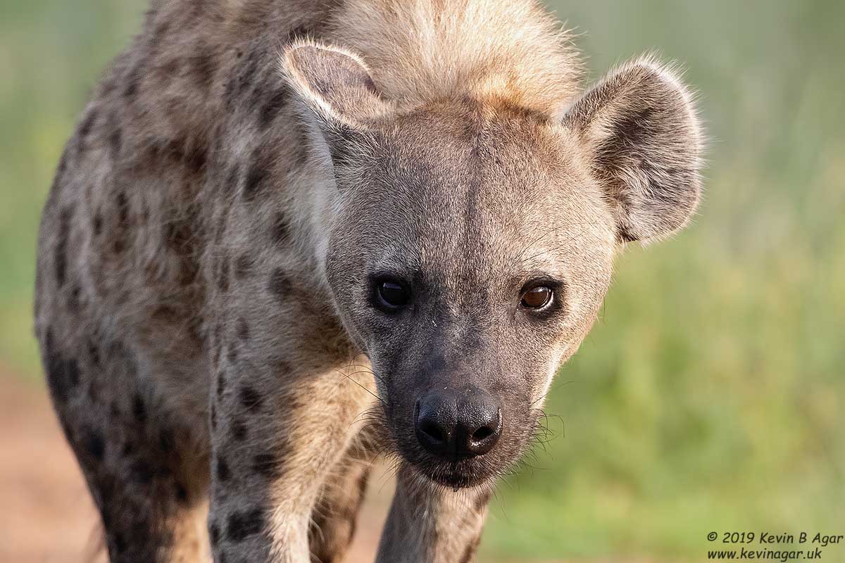 7D2_5971.jpg 7D2_5971.jpg