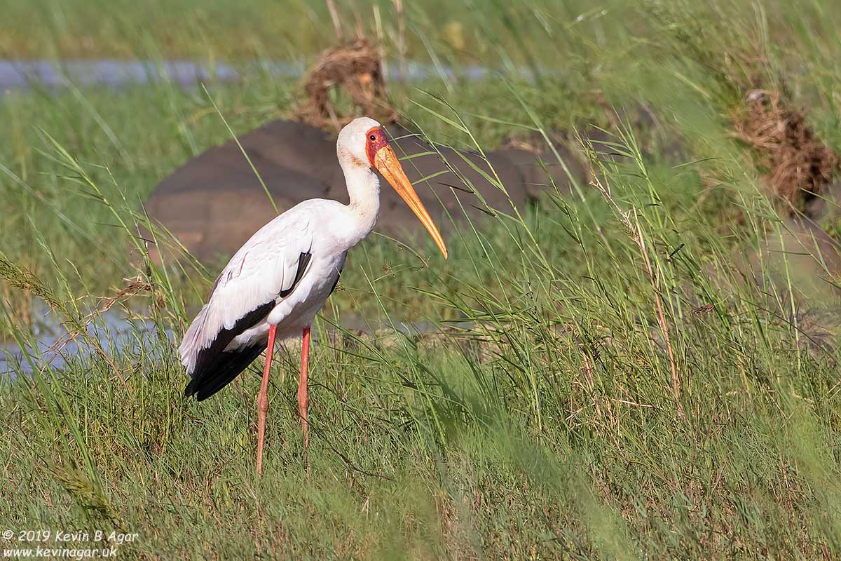 7D2_6177.jpg 7D2_6177.jpg