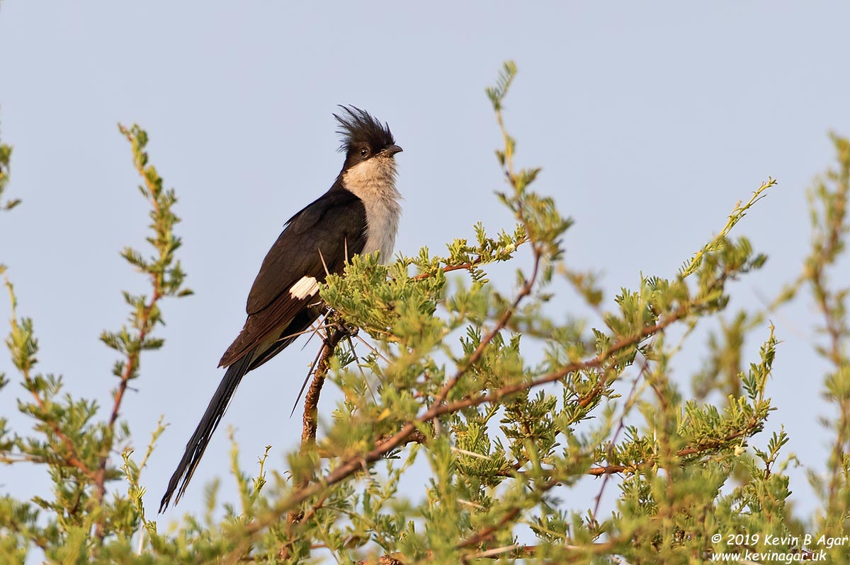 7D2_6356.jpg 7D2_6356.jpg