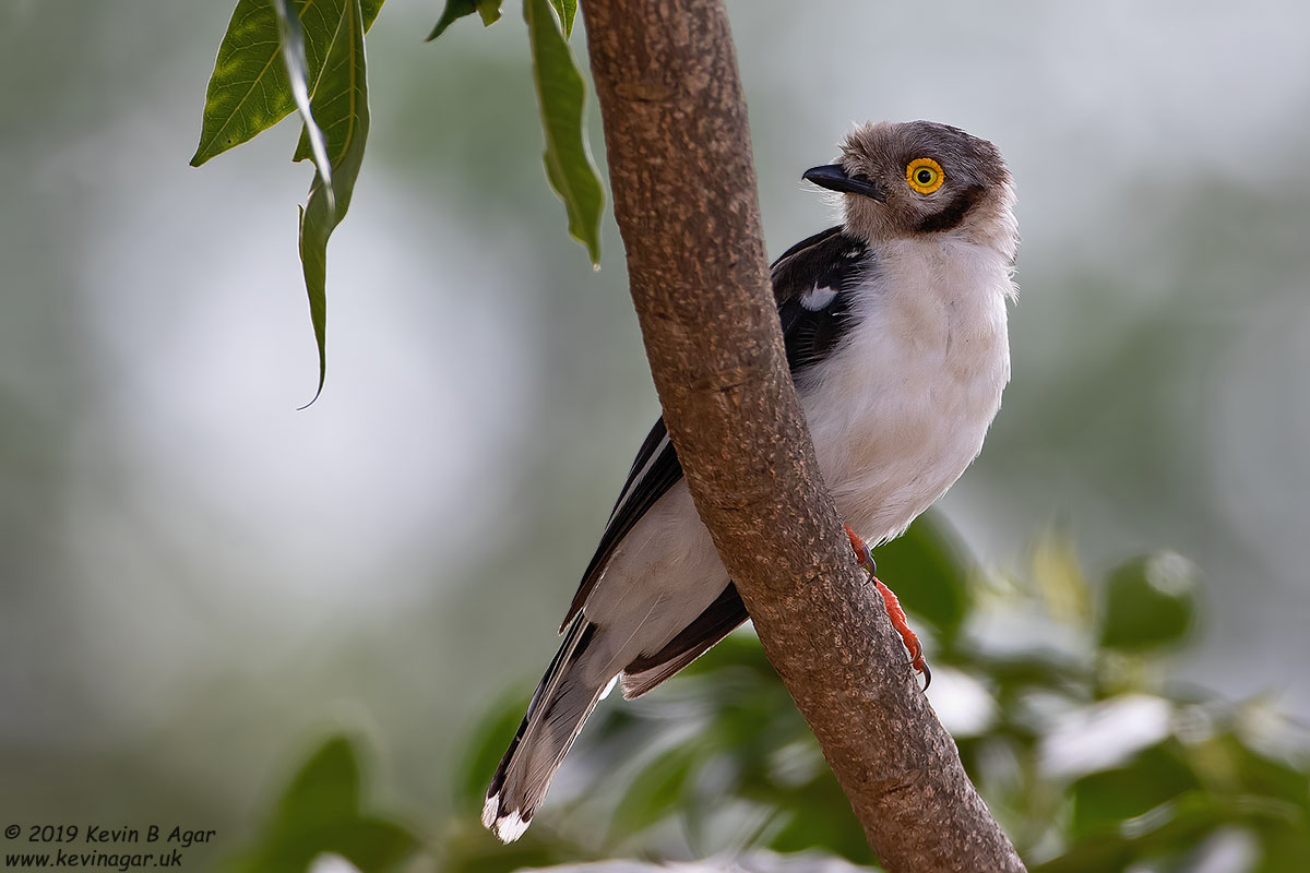 7D2_6590.jpg 7D2_6590.jpg