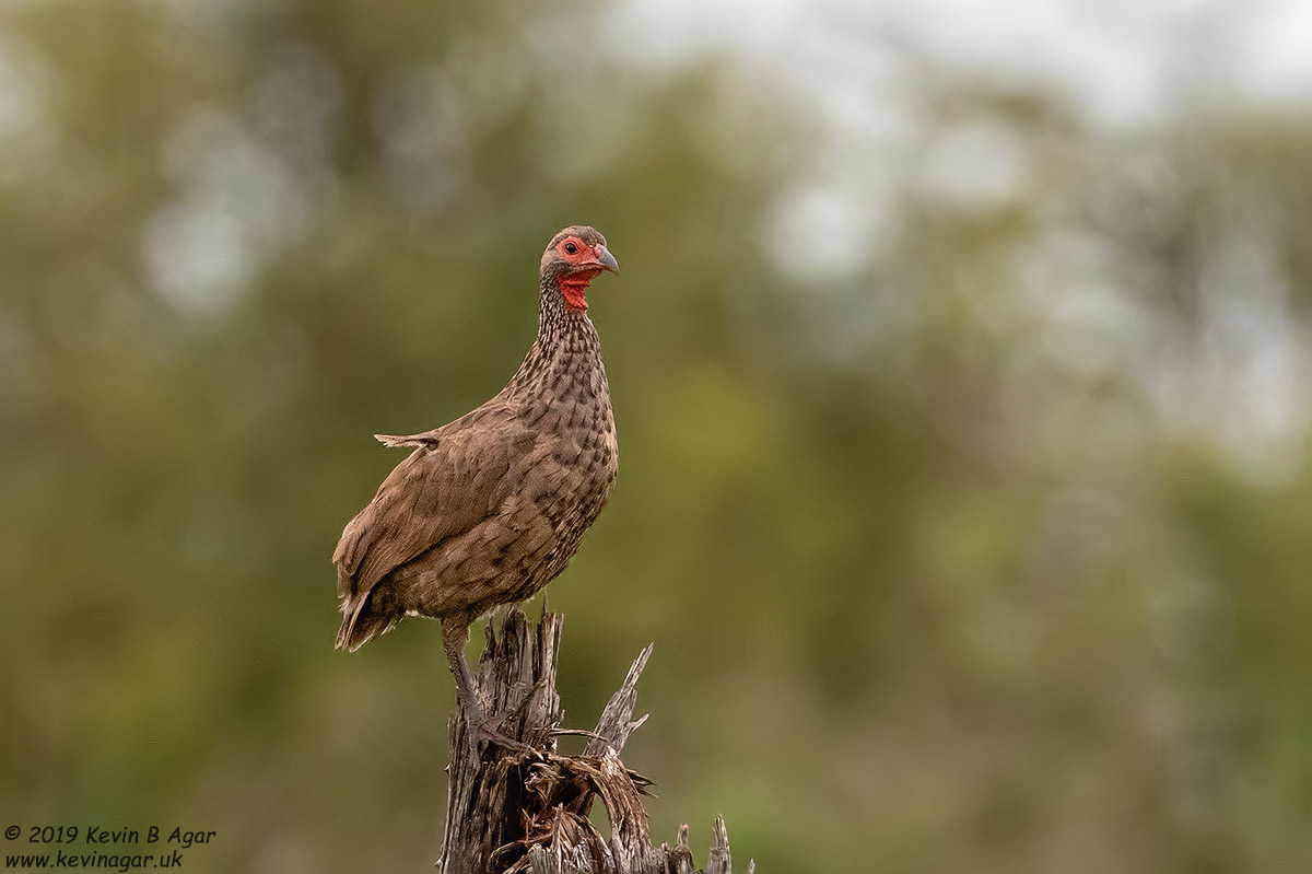 7D2_6564.jpg 7D2_6564.jpg