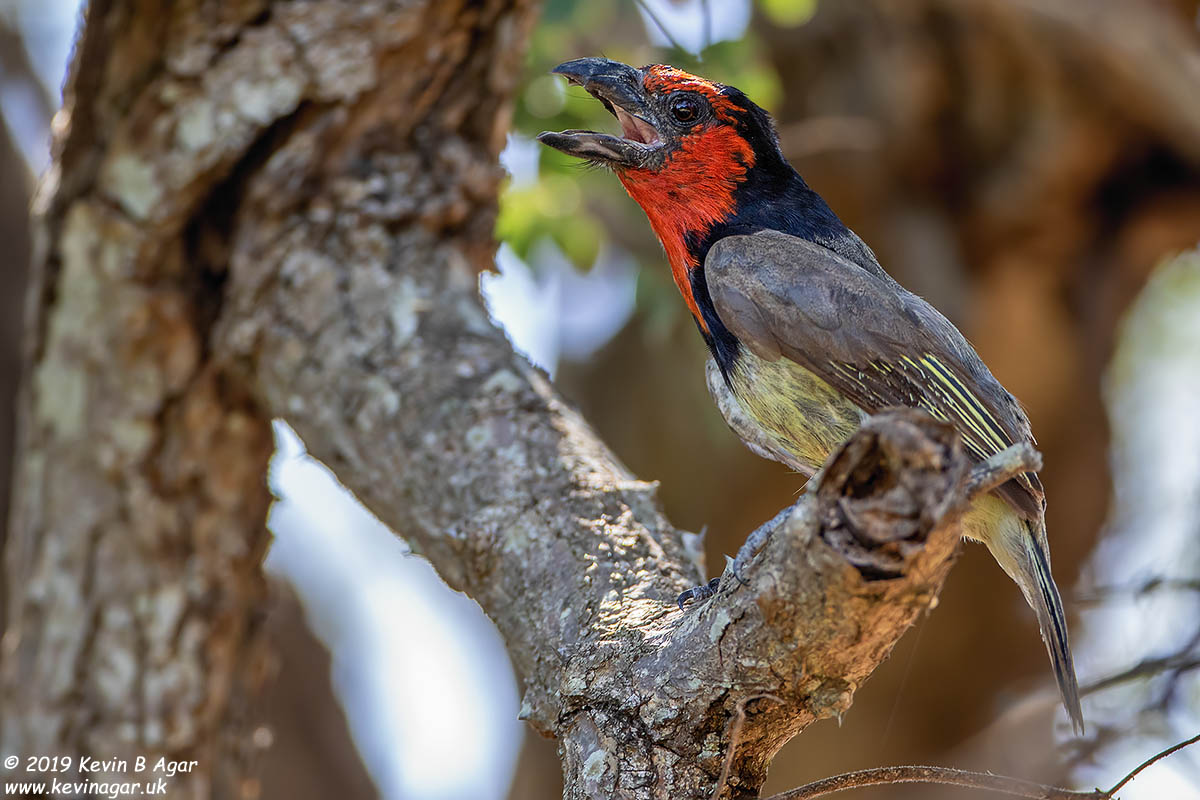 7D2_6486.jpg 7D2_6486.jpg