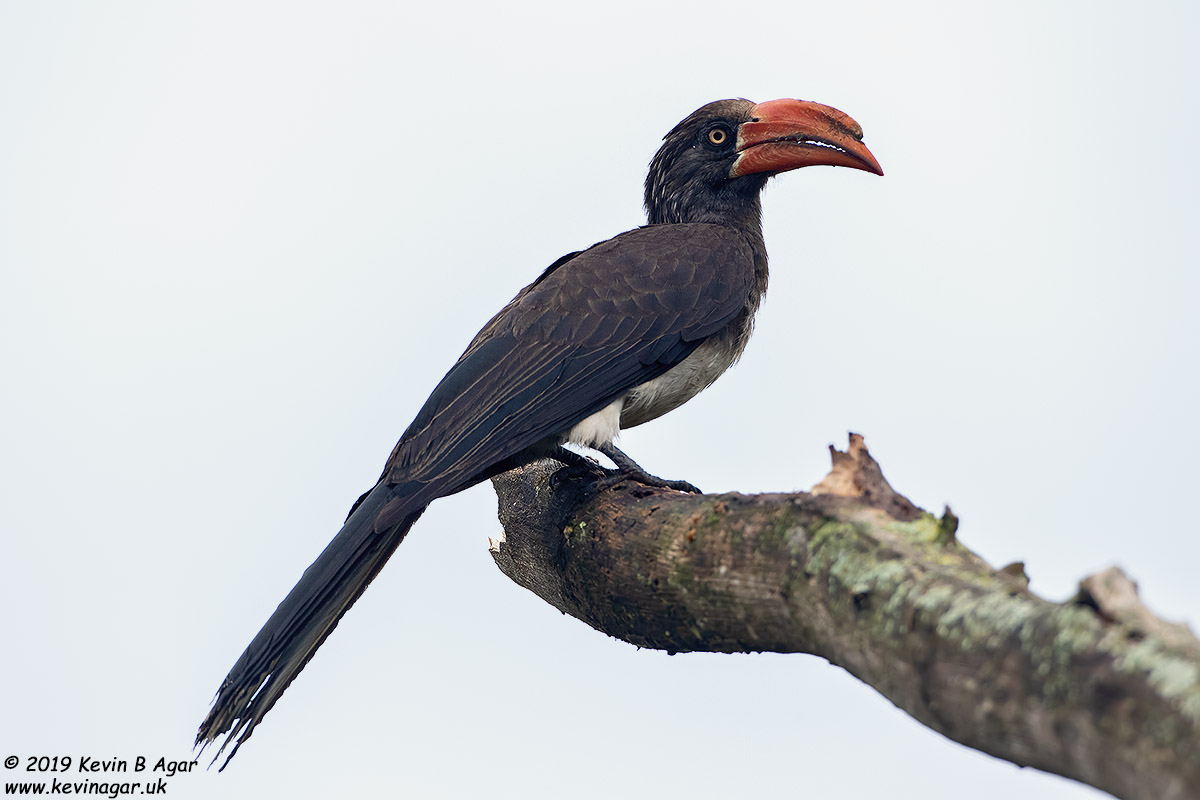 7D2_6971.jpg 7D2_6971.jpg