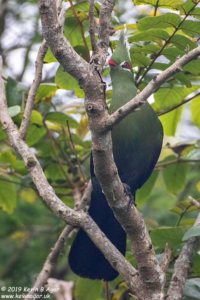 7D2_7062.jpg 7D2_7062.jpg