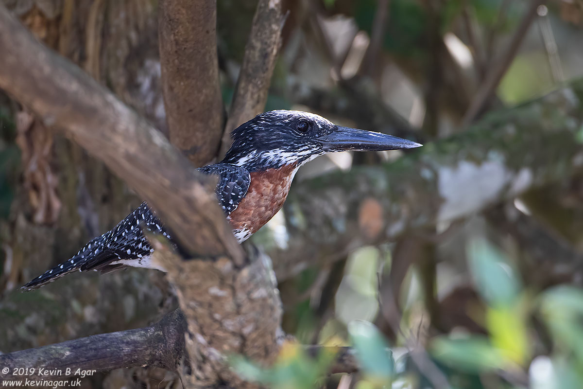 7D2_7535.jpg 7D2_7535.jpg