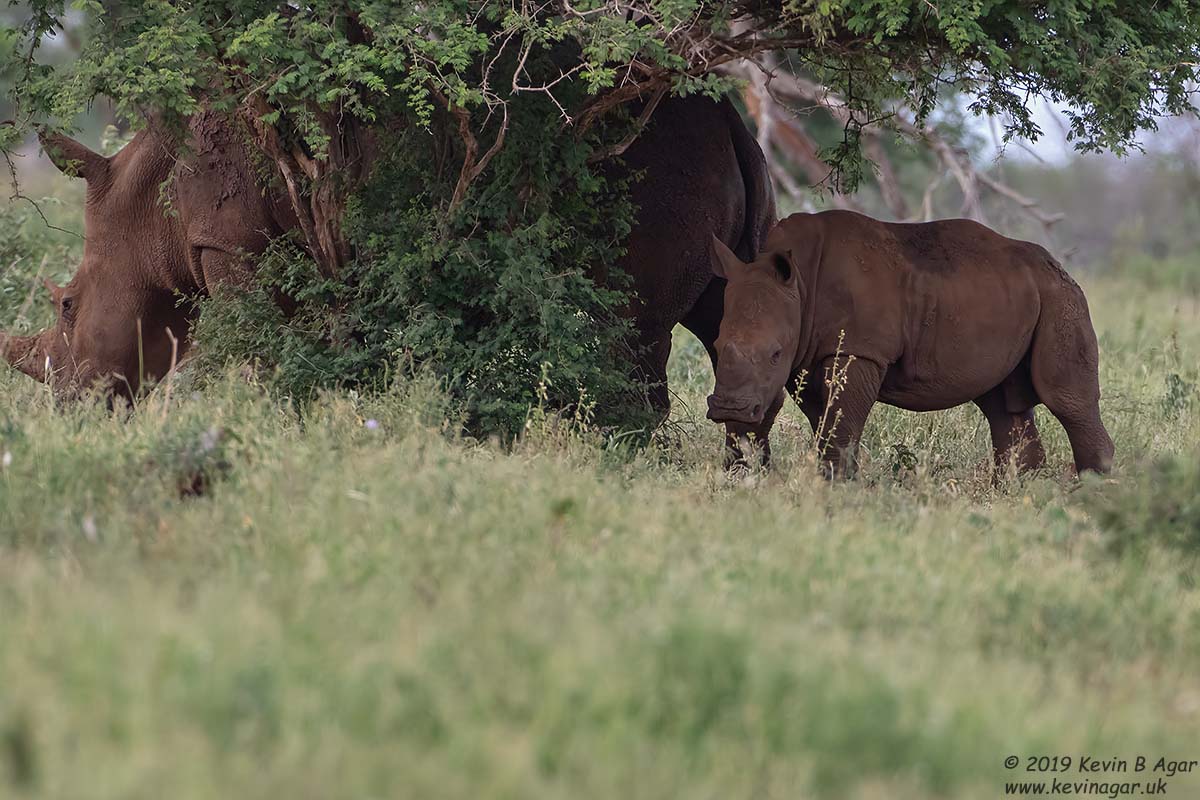 7D2_6581.jpg 7D2_6581.jpg