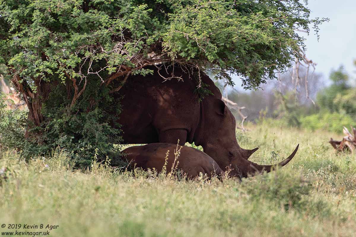 7D2_6589.jpg 7D2_6589.jpg