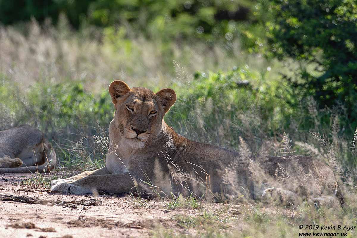 7D2_6409.jpg 7D2_6409.jpg