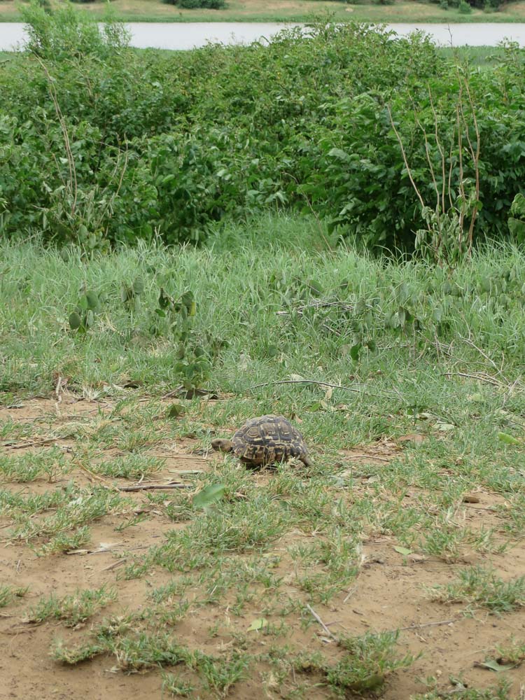 IMG_0797.jpg IMG_0797.jpg