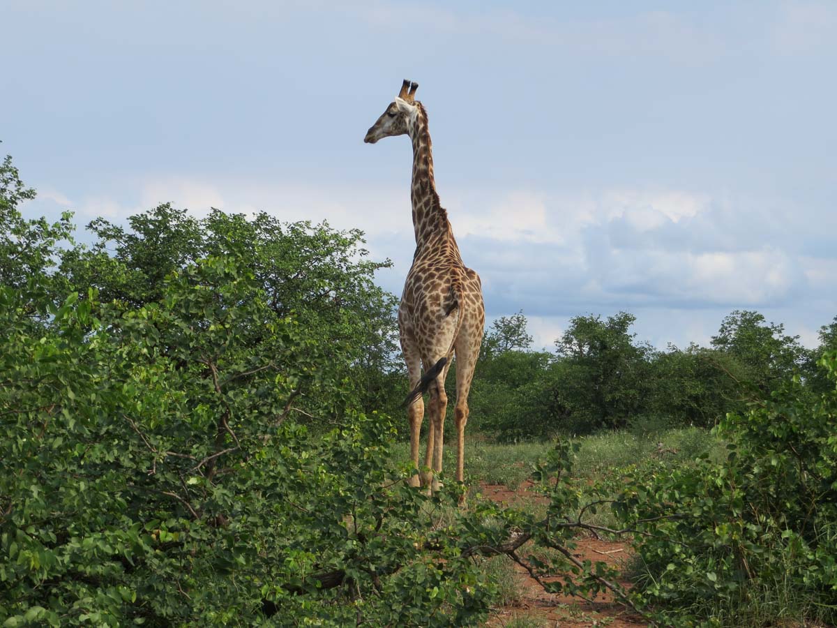 IMG_0802.jpg IMG_0802.jpg