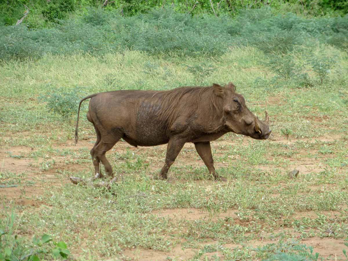 IMG_0811.jpg IMG_0811.jpg