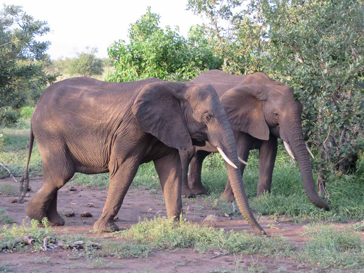 IMG_0821.jpg IMG_0821.jpg