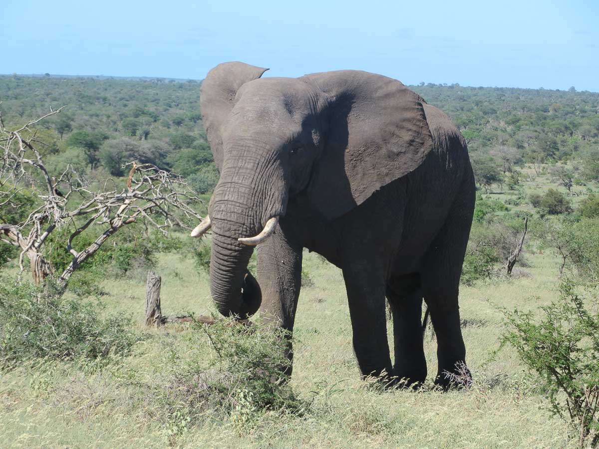 IMG_0846.jpg IMG_0846.jpg