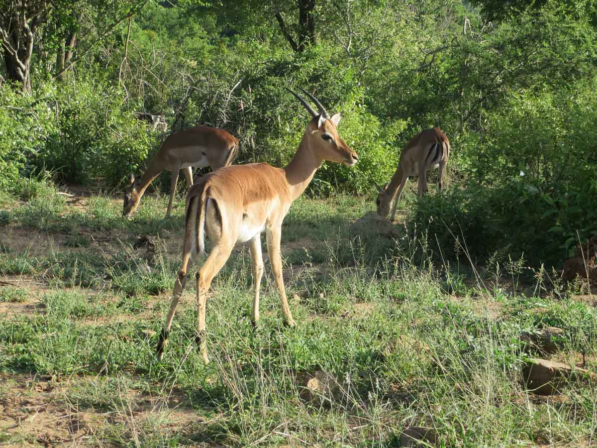 IMG_0869.jpg IMG_0869.jpg