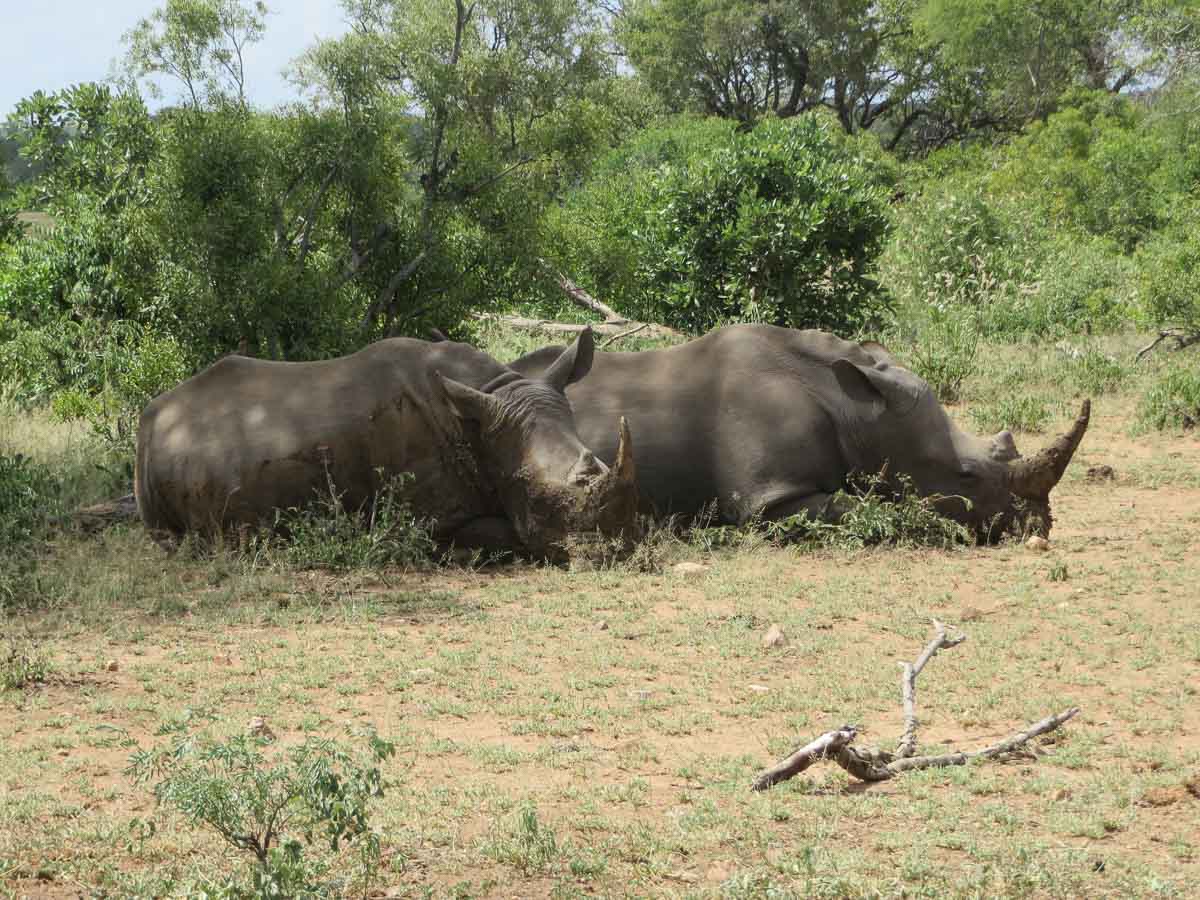 IMG_0899.jpg IMG_0899.jpg