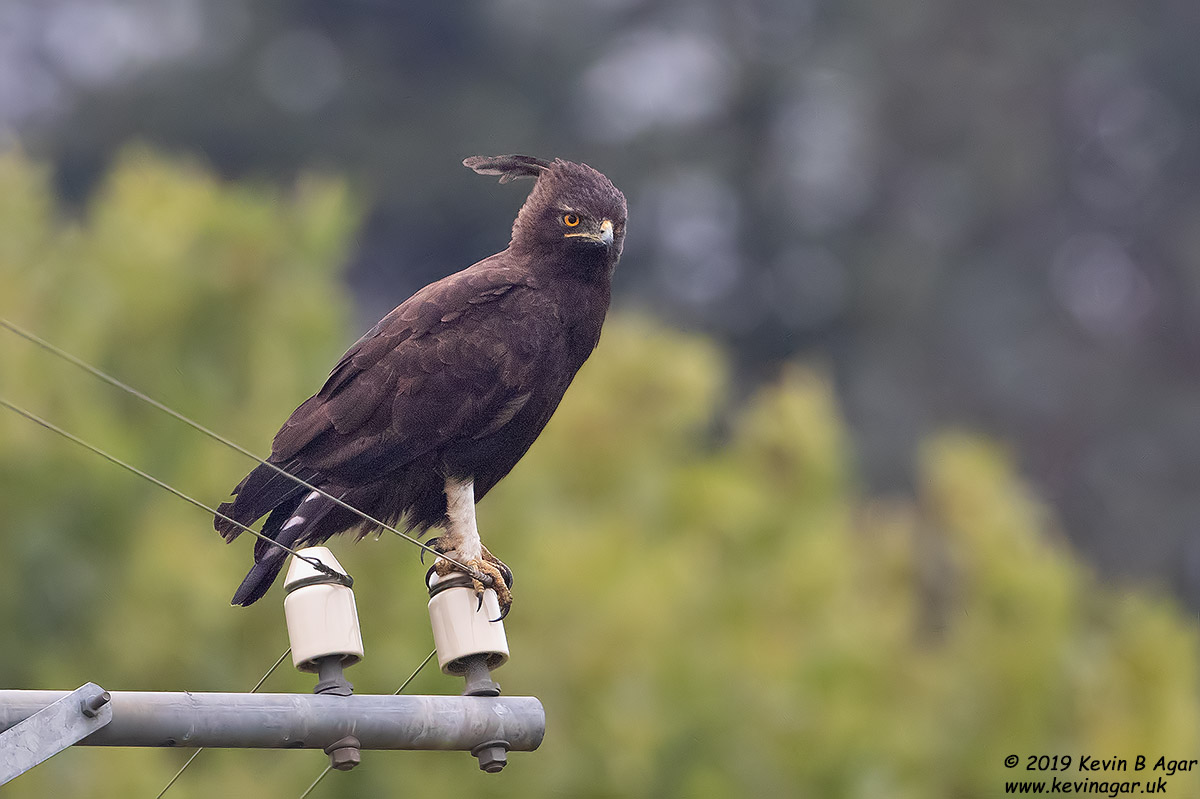 7D2_8747.jpg 7D2_8747.jpg