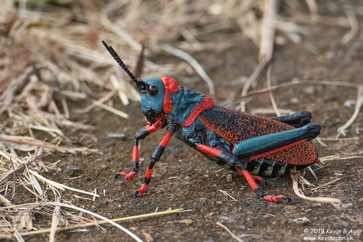 7D2_8758.jpg 7D2_8758.jpg