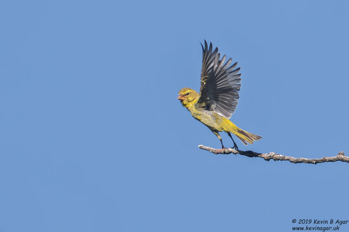 7D2_8048.jpg 7D2_8048.jpg