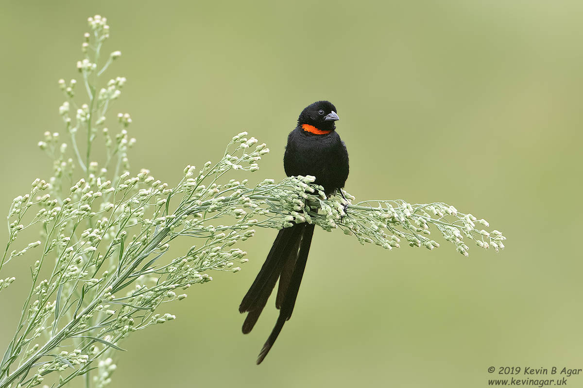 7D2_8973.jpg 7D2_8973.jpg