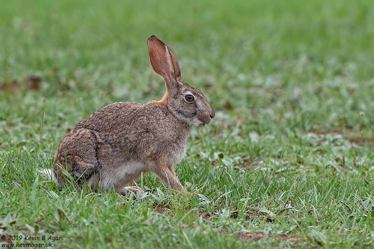 7D2_8922.jpg 7D2_8922.jpg