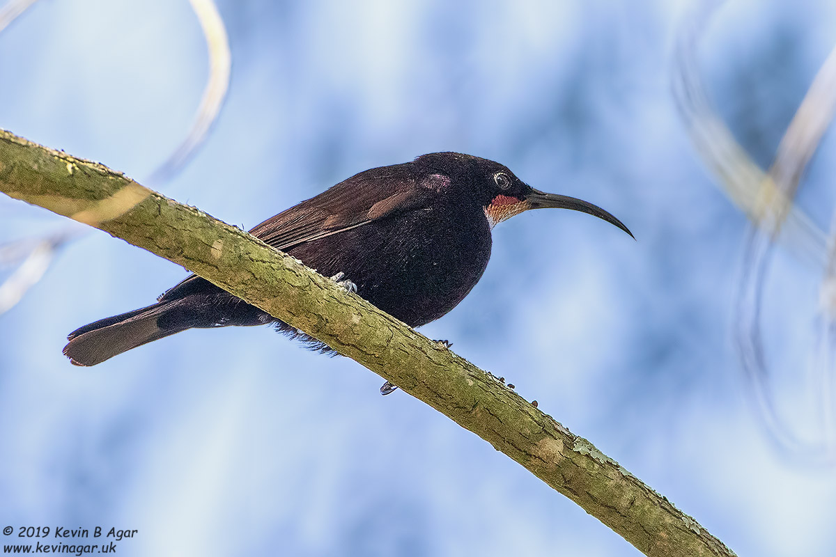 7D2_6613.jpg 7D2_6613.jpg