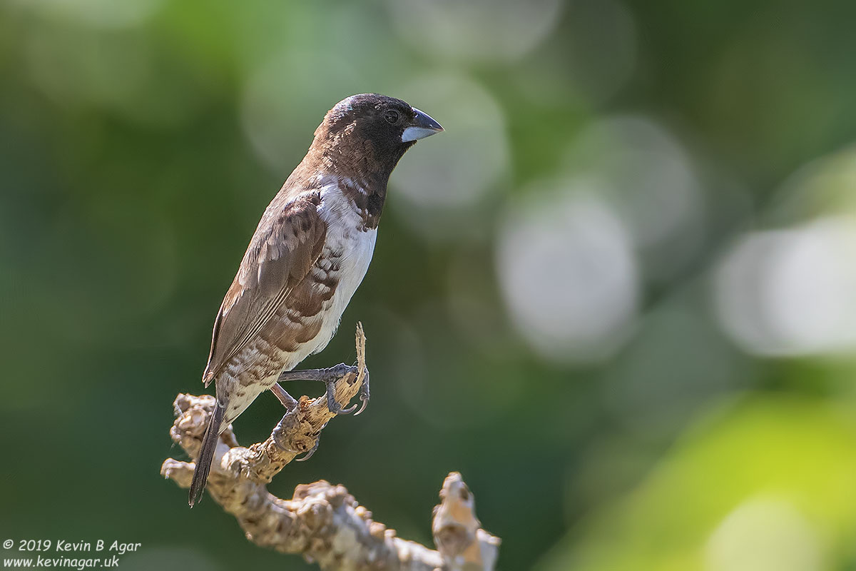 7D2_7904.jpg 7D2_7904.jpg