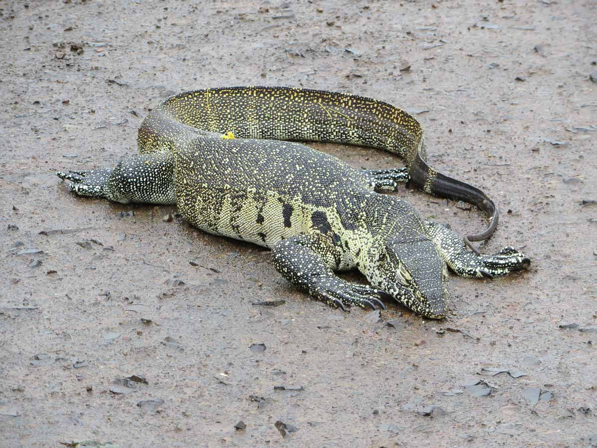 IMG_0938.jpg IMG_0938.jpg