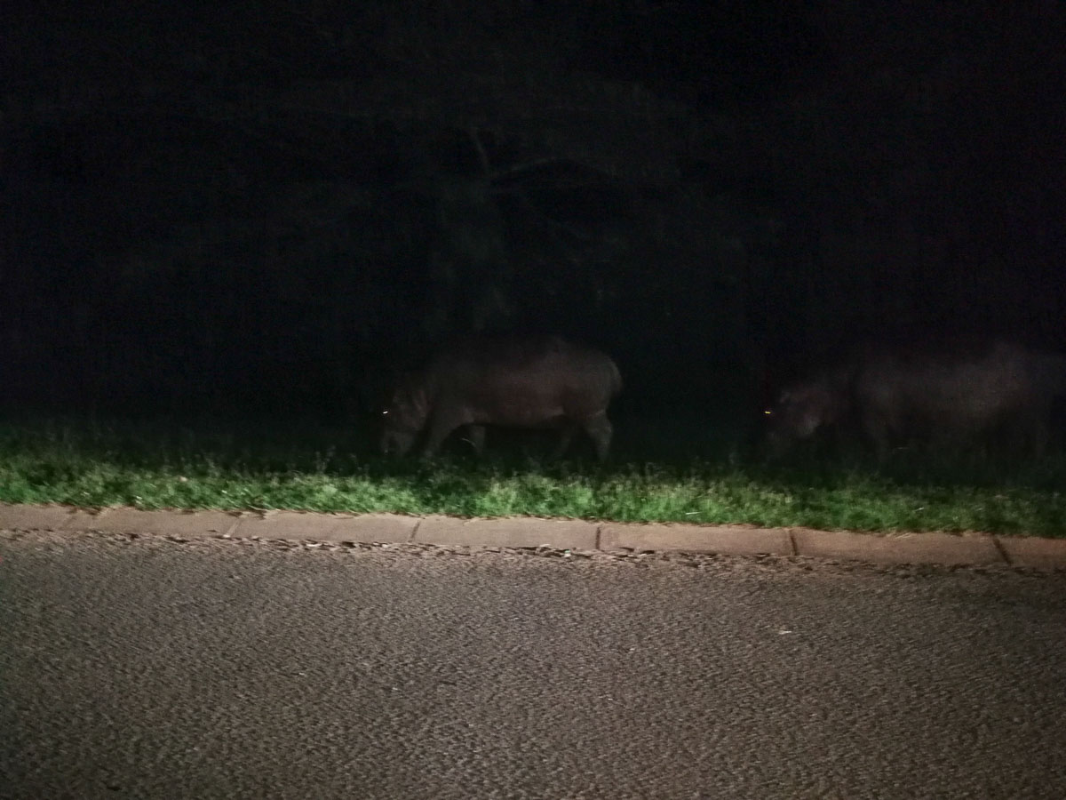 IMG_20190127_202329.jpg IMG_20190127_202329.jpg